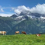 Peak App- By Interhome * Morgins
