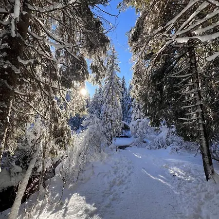 Peak App- By Interhome *