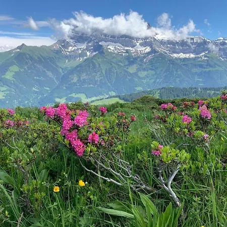 Appartement Peak App- By Interhome