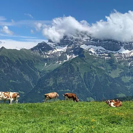 Peak App- By Interhome * Morgins