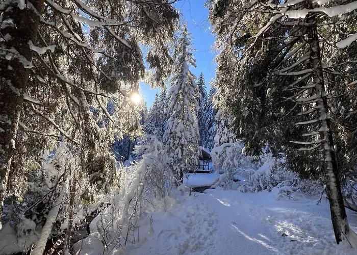 Peak App- By Interhome *