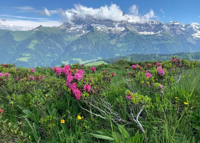 Appartement Peak App- By Interhome