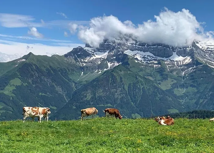 Peak App- By Interhome * Morgins